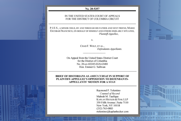 Kaplan Hecker & Fink LLP Files Amicus Brief in D.C. Circuit on Behalf of Historians Opposing the Federal Government’s Misuse of Public Health Laws to Deport Children 