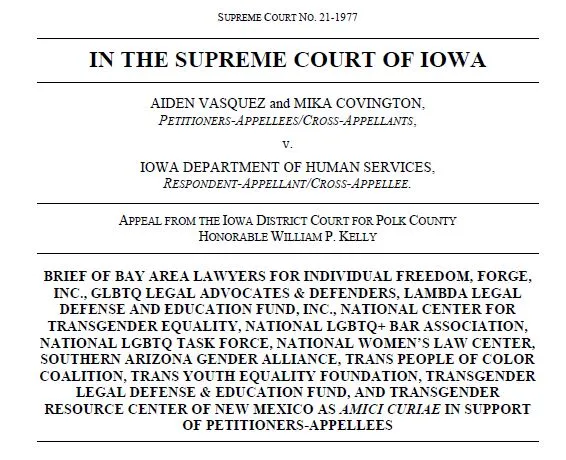 Kaplan Hecker & Fink LLP Files Amicus Brief Urging Iowa Supreme Court to Adopt Strict Scrutiny for Transgender Classifications